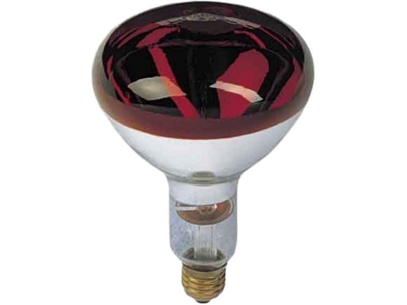 Reflektorlampen Infrarot 100 W R95 E27 Philips
